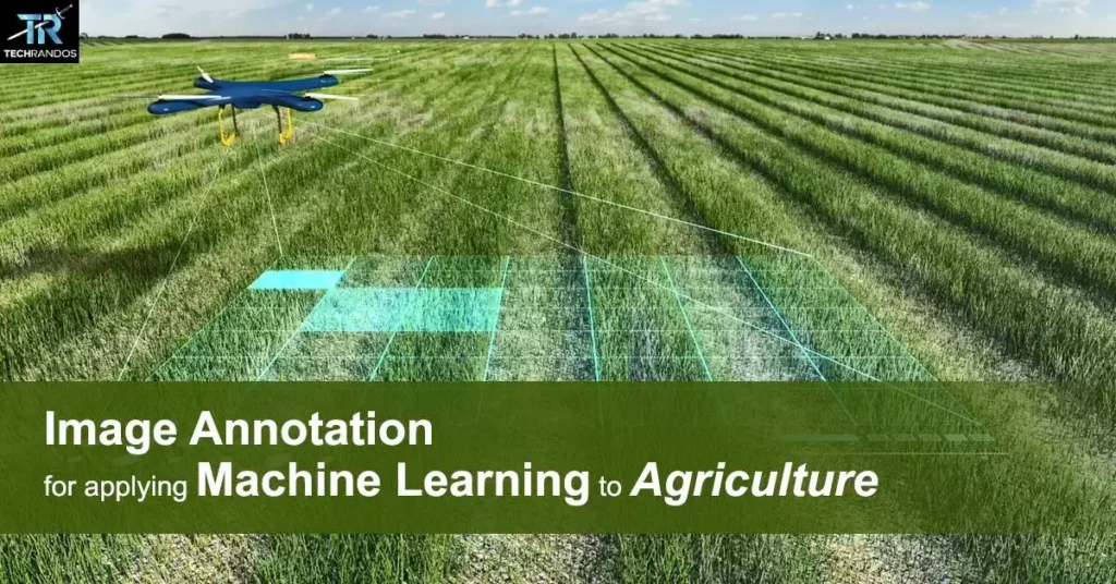 Machine Learning for Crop Management