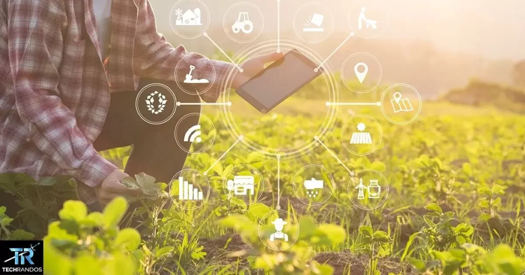 The Future of AI in Horticulture