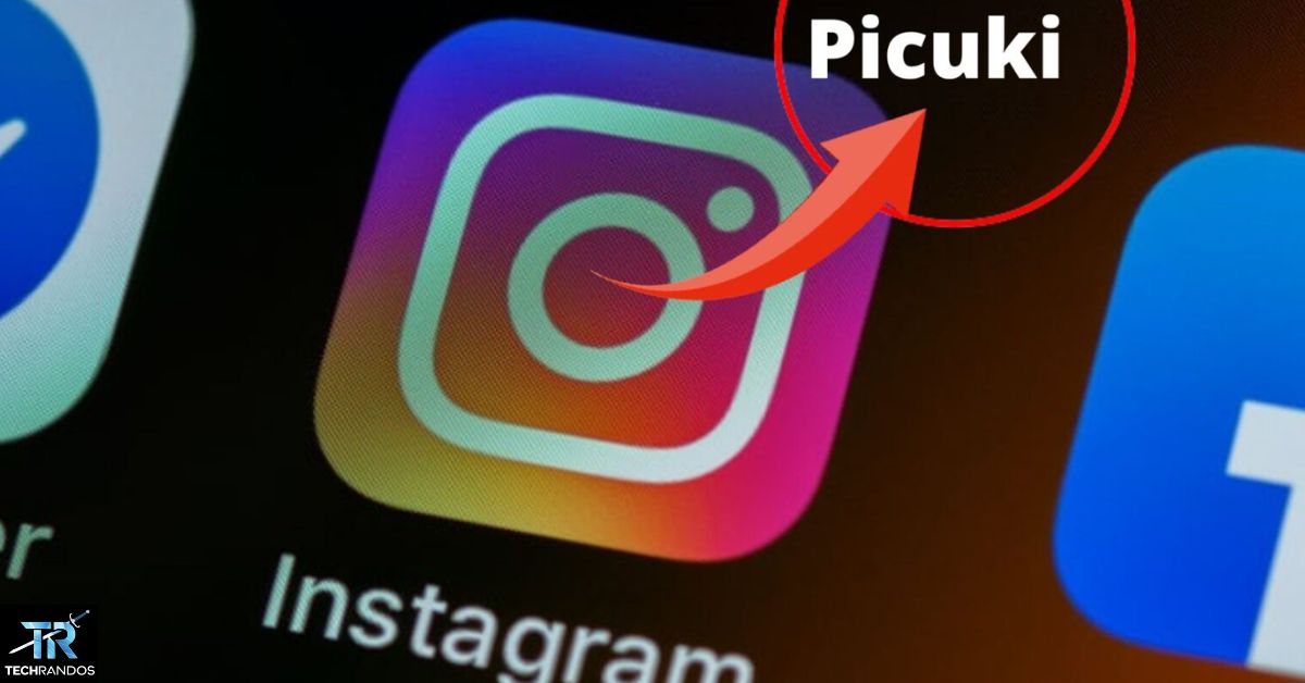 How To Download Instagram Profiles Content Using Picuki In 2024: The Ultimate Guide